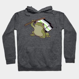 Agender Pride Flag-Holding Frog Hoodie